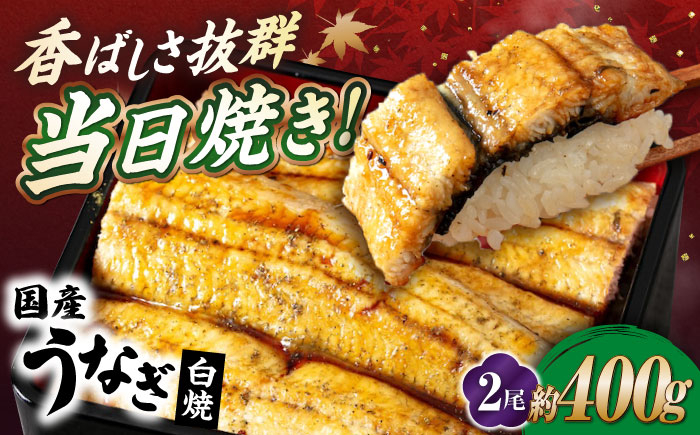 うなぎ 鰻 ウナギ 鰻蒲焼き うなぎ蒲焼き ひつまぶし うなぎ茶漬け おにぎり 国産 真空 冷凍 蒲焼 丑の日 個包装 小分け