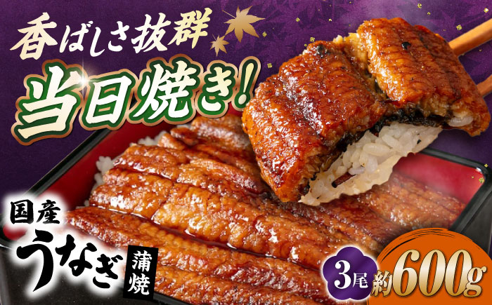 うなぎ 鰻 ウナギ 鰻蒲焼き うなぎ蒲焼き ひつまぶし うなぎ茶漬け おにぎり 国産 真空 冷凍 蒲焼 丑の日 個包装 小分け