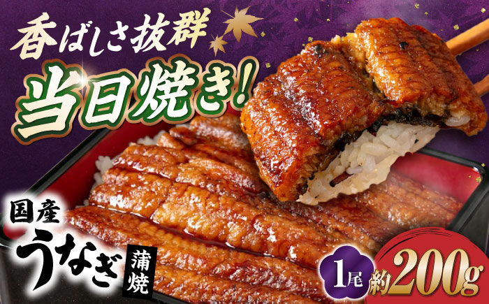 うなぎ 鰻 ウナギ 鰻蒲焼き うなぎ蒲焼き ひつまぶし うなぎ茶漬け おにぎり 国産 真空 冷凍 蒲焼 丑の日 個包装 小分け