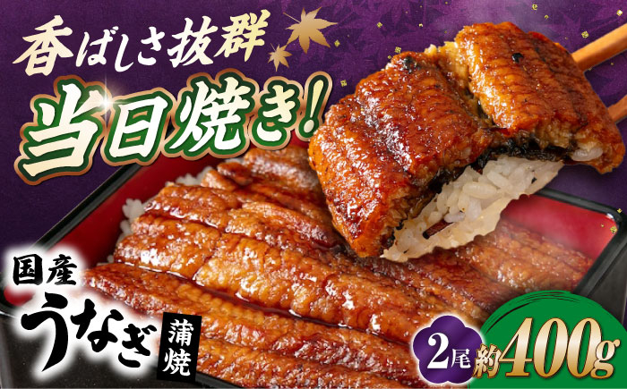 うなぎ 鰻 ウナギ 鰻蒲焼き うなぎ蒲焼き ひつまぶし うなぎ茶漬け おにぎり 国産 真空 冷凍 蒲焼 丑の日 個包装 小分け