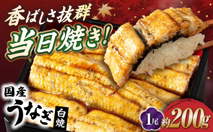うなぎ 鰻 ウナギ 鰻蒲焼き うなぎ蒲焼き ひつまぶし うなぎ茶漬け おにぎり 国産 真空 冷凍 蒲焼 丑の日 個包装 小分け