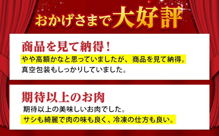 【霜降り A5ランク】佐賀牛 リブロース スライス 500g  しゃぶしゃぶ用  ロース しゃぶしゃぶ 鍋 A5 牛肉 黒毛和牛
