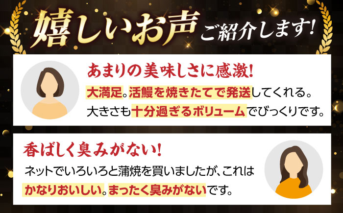 うなぎ 鰻 ウナギ 鰻蒲焼き うなぎ蒲焼き ひつまぶし うなぎ茶漬け おにぎり 国産 真空 冷凍 蒲焼 丑の日 個包装 小分け