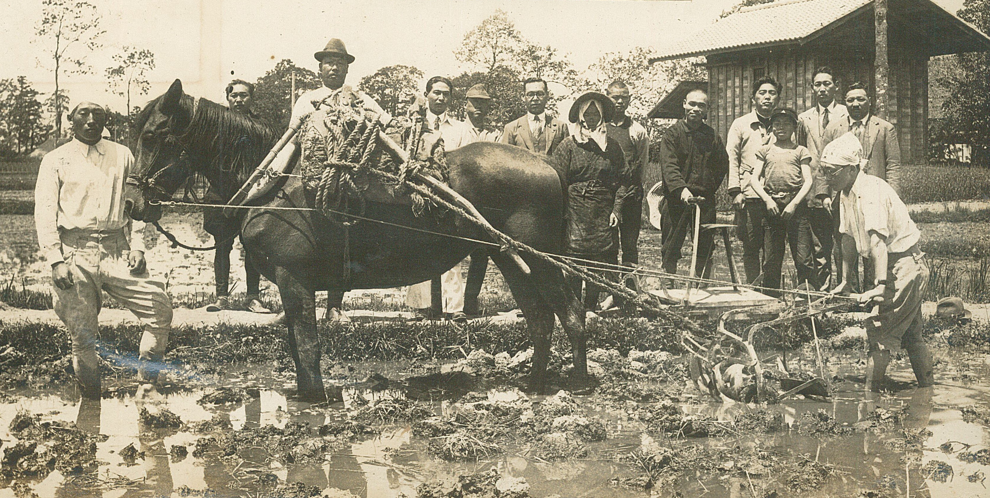 役馬利用伝習会