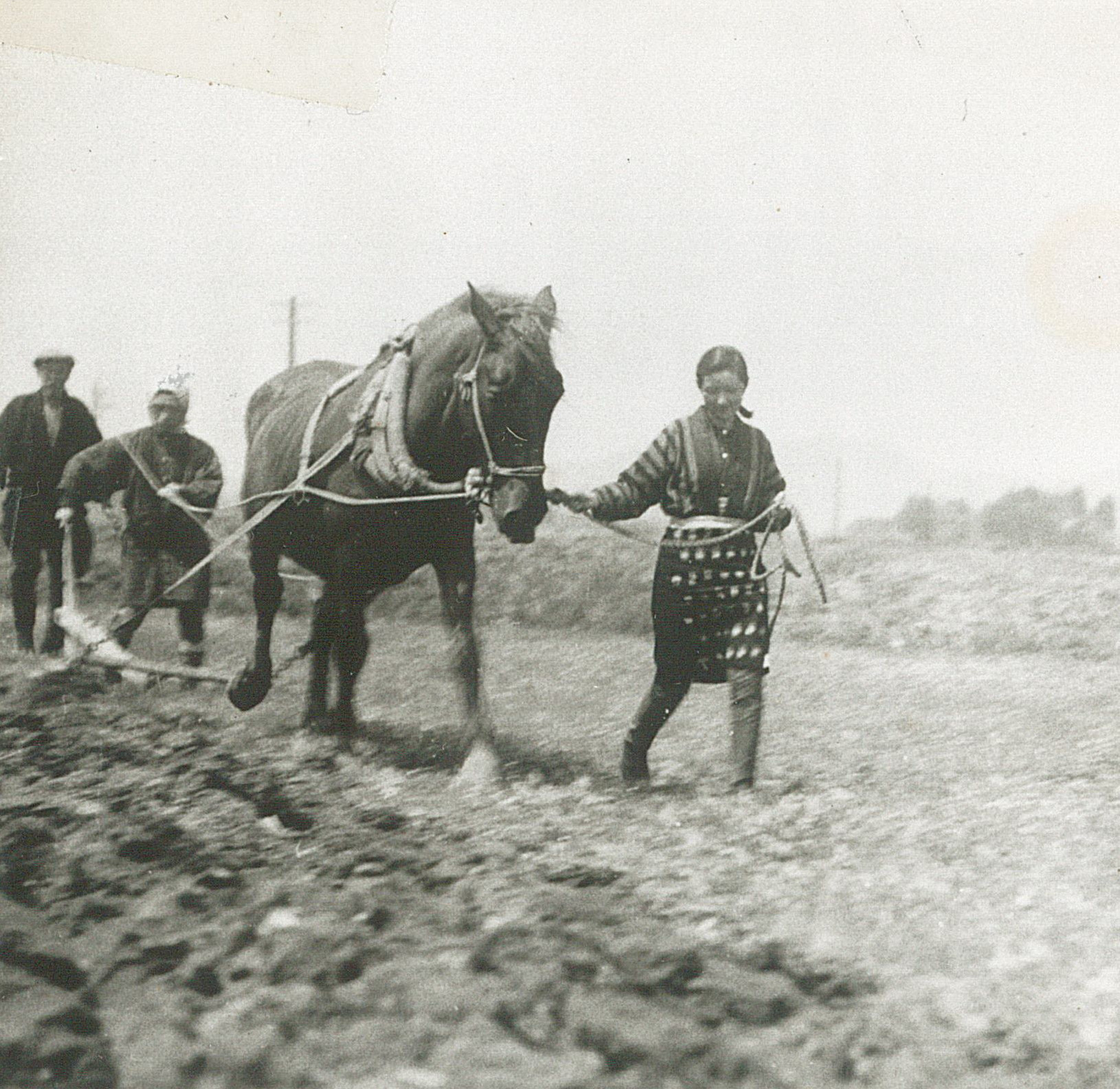 映画「馬」高峰秀子