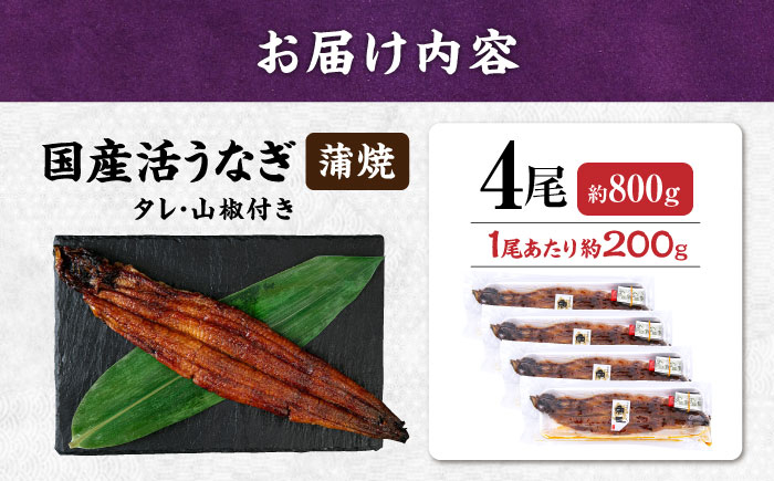 うなぎ 鰻 ウナギ 鰻蒲焼き うなぎ蒲焼き ひつまぶし うなぎ茶漬け おにぎり 国産 真空 冷凍 蒲焼 丑の日 個包装 小分け