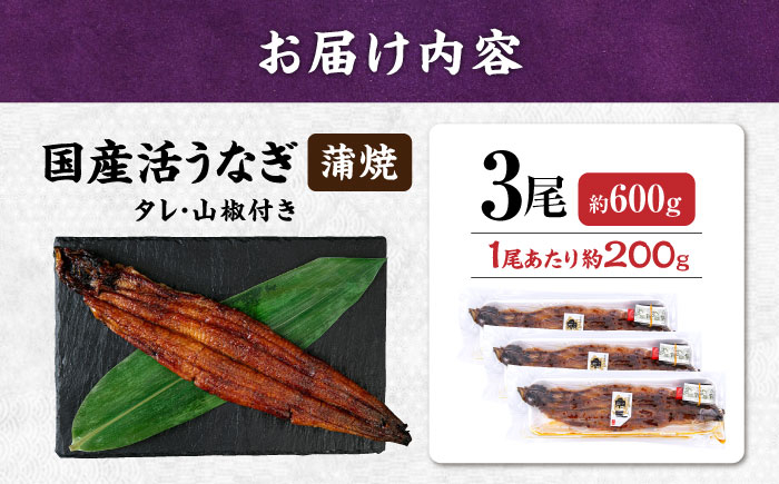 うなぎ 鰻 ウナギ 鰻蒲焼き うなぎ蒲焼き ひつまぶし うなぎ茶漬け おにぎり 国産 真空 冷凍 蒲焼 丑の日 個包装 小分け