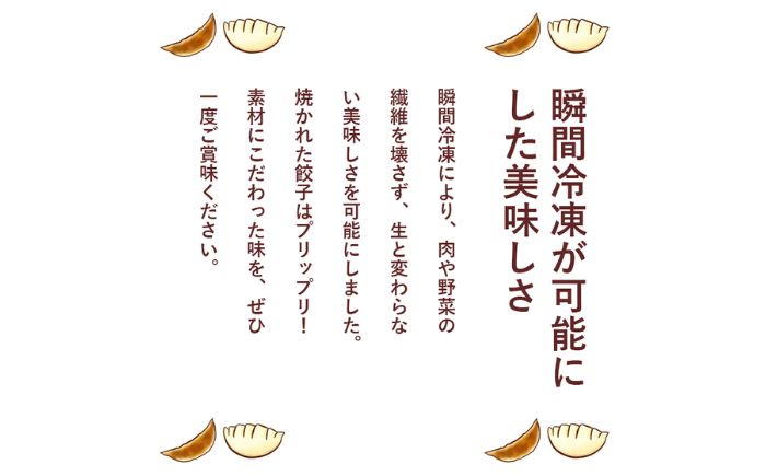 ギョーザ 冷凍餃子 焼餃子 おかず おつまみ 惣菜 天心 塩 ぎょうざ 