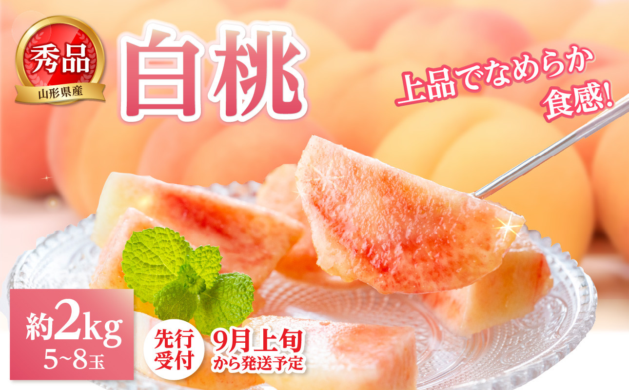《先行受付》★白桃（品種おまかせ）★ 約2kg(5～8玉) 秀品 【2025年9月上旬頃～発送予定】