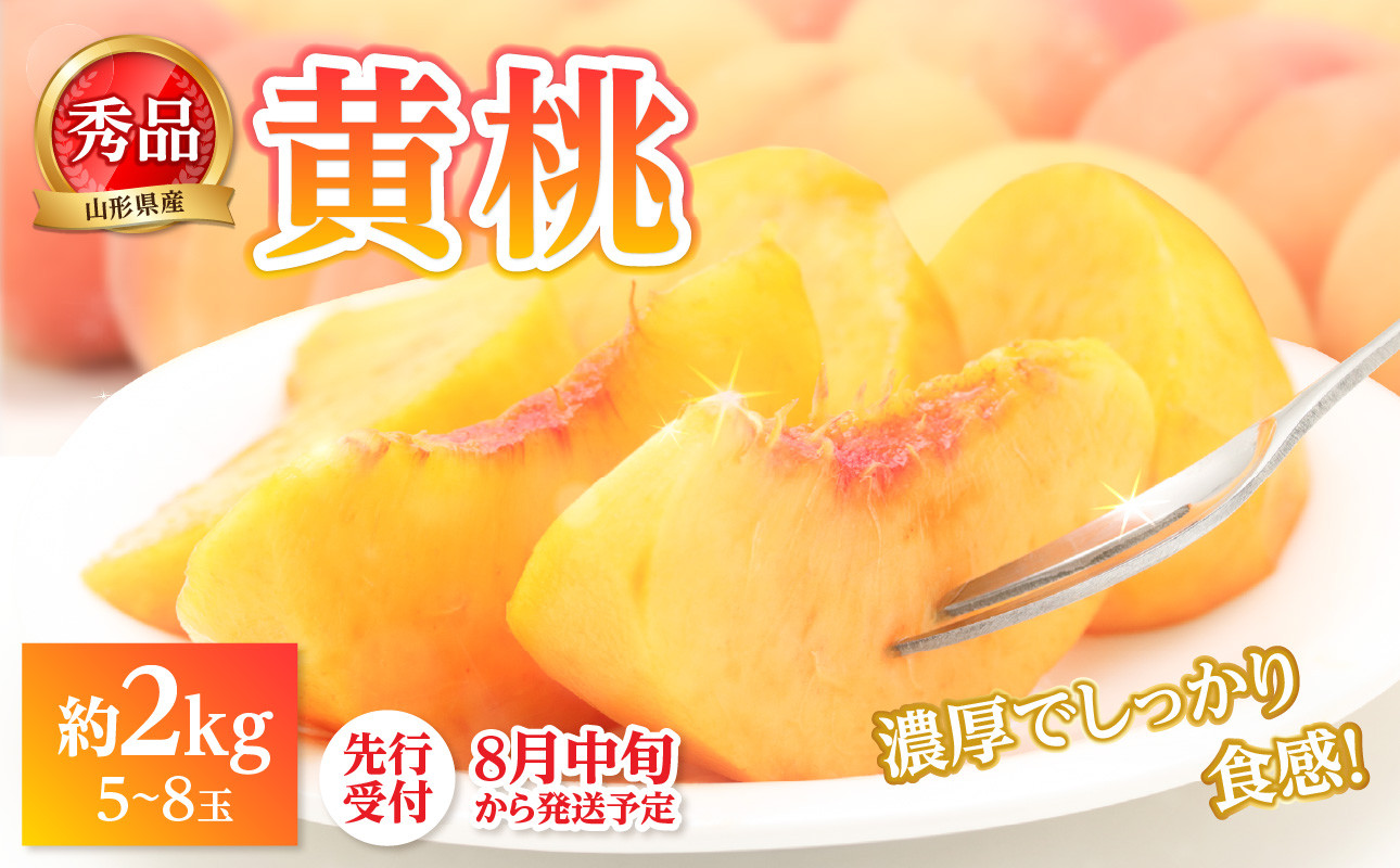 《先行受付》★黄桃（品種おまかせ）★ 約2kg(5～8玉) 秀品 【2025年8月中旬頃～発送予定】