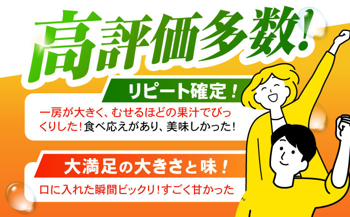 伊木力みかん 大玉 10kg みかん ミカン 蜜柑 柑橘 フルーツ 果物