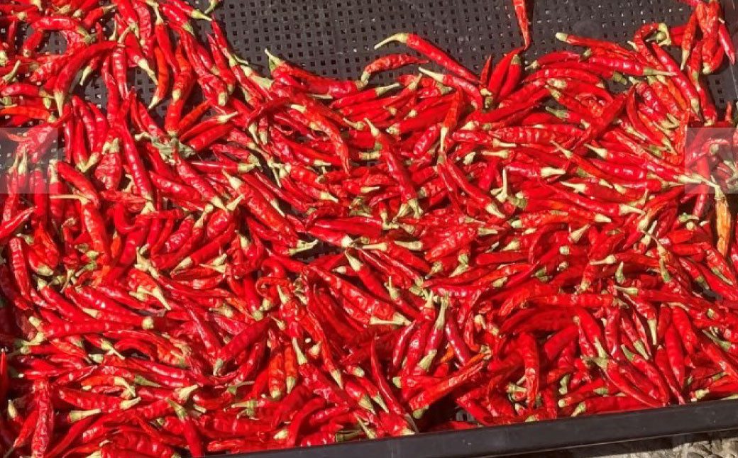 ゆずこしょう(60g×3個セット)