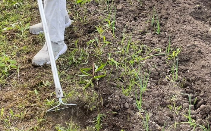 除草具 農具 草取り 草刈り 農業 農作業 ガーデニング 庭 園芸 花 雑草 