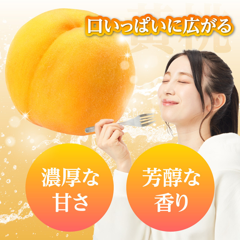 《先行受付》★黄桃（品種おまかせ）★ 約2kg(5～8玉) 秀品 【2025年8月中旬頃～発送予定】