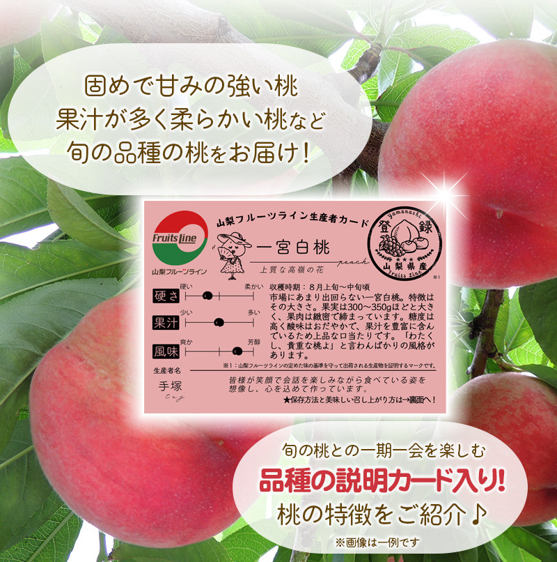 何といっても一番の特徴はシャキッ！カリッ！とした何とも言えない硬い歯ごたえです。※画像はイメージです。