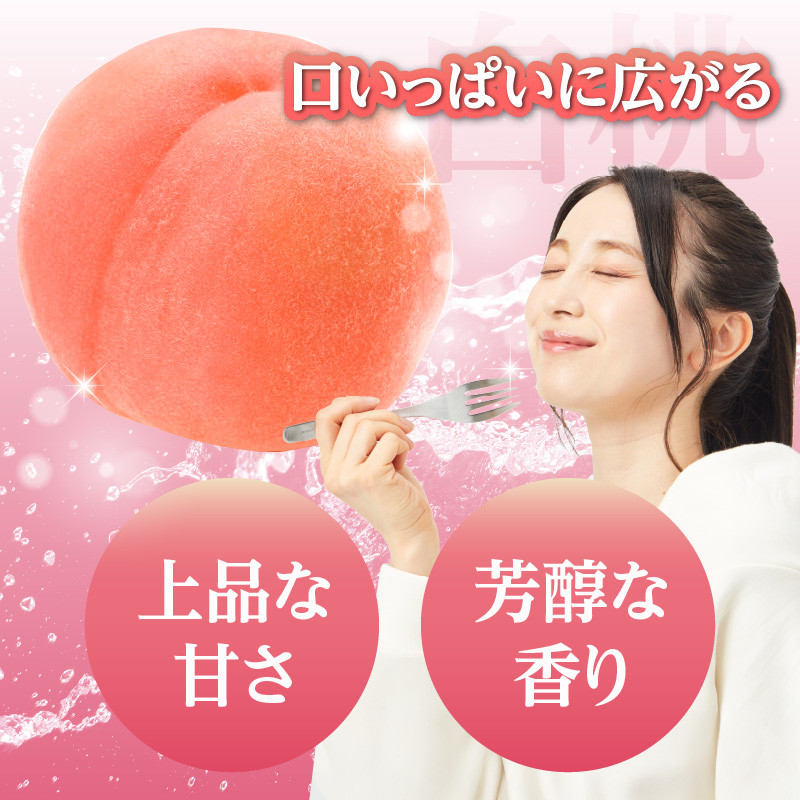 《先行受付》★白桃（品種おまかせ）★ 約2kg(5～8玉) 秀品  【2025年8月上旬頃～発送予定】