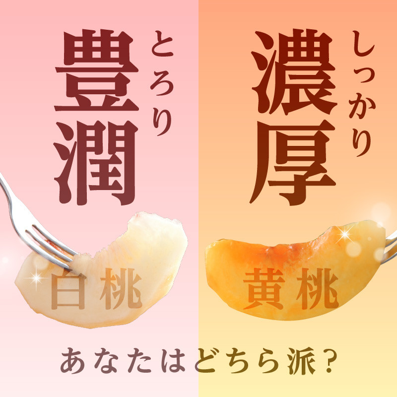 《先行受付》★白桃（品種おまかせ）★ 約2kg(5～8玉) 秀品 【2025年9月上旬頃～発送予定】