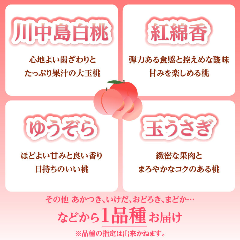 《先行受付》★白桃（品種おまかせ）★ 約2kg(5～8玉) 秀品  【2025年8月上旬頃～発送予定】