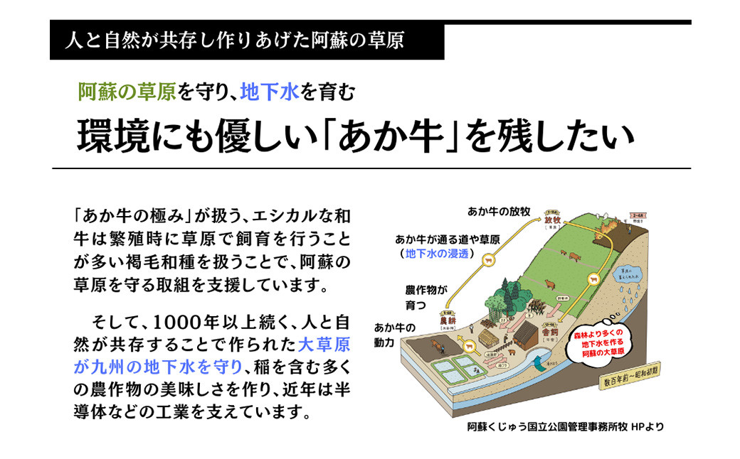 あか牛の極み・焼しゃぶセット