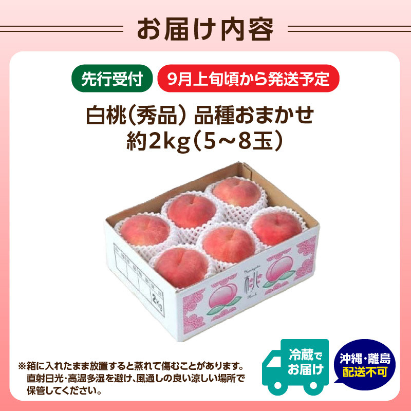 《先行受付》★白桃（品種おまかせ）★ 約2kg(5～8玉) 秀品 【2025年9月上旬頃～発送予定】