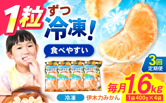 かん ミカン 蜜柑 柑橘 フルーツ ふるーつ 果物 くだもの