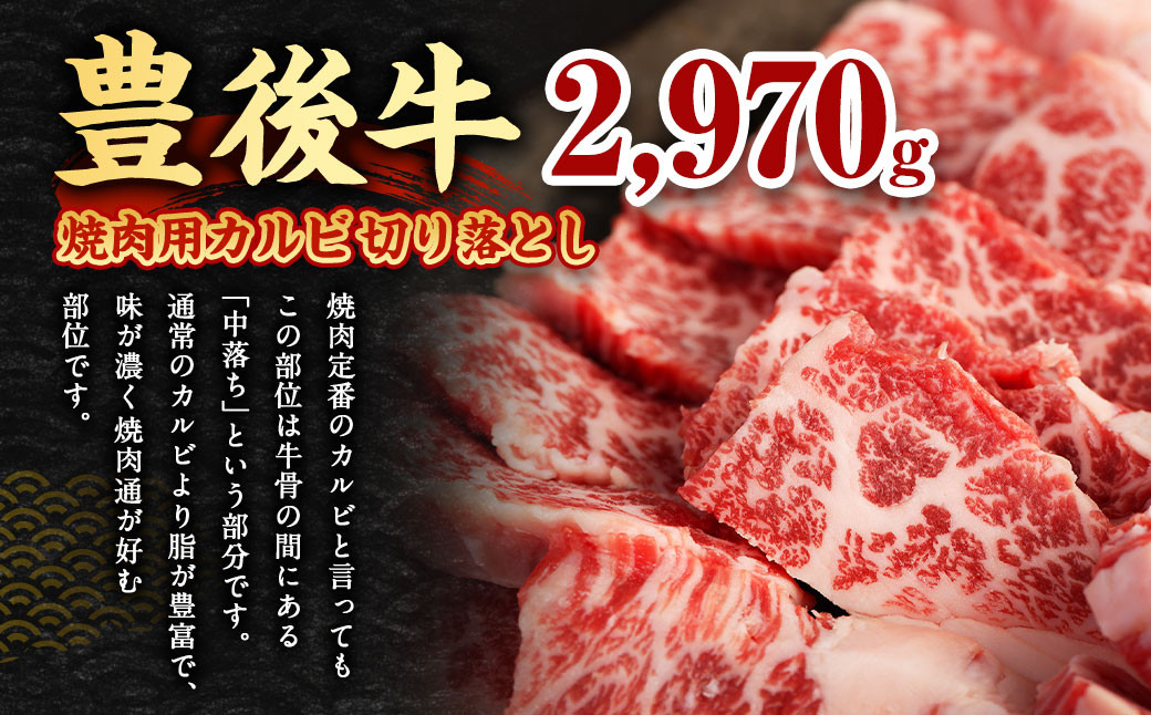 【大分県産】 豊後牛 焼肉用 カルビ 切り落とし 約2.97kg （約330g×9パック）