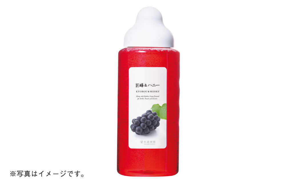 熊本 杉養蜂園 【ゆず蜜×巨峰】果汁入り はちみつ 500g 2種 計1kg 食べ比べ 蜂蜜