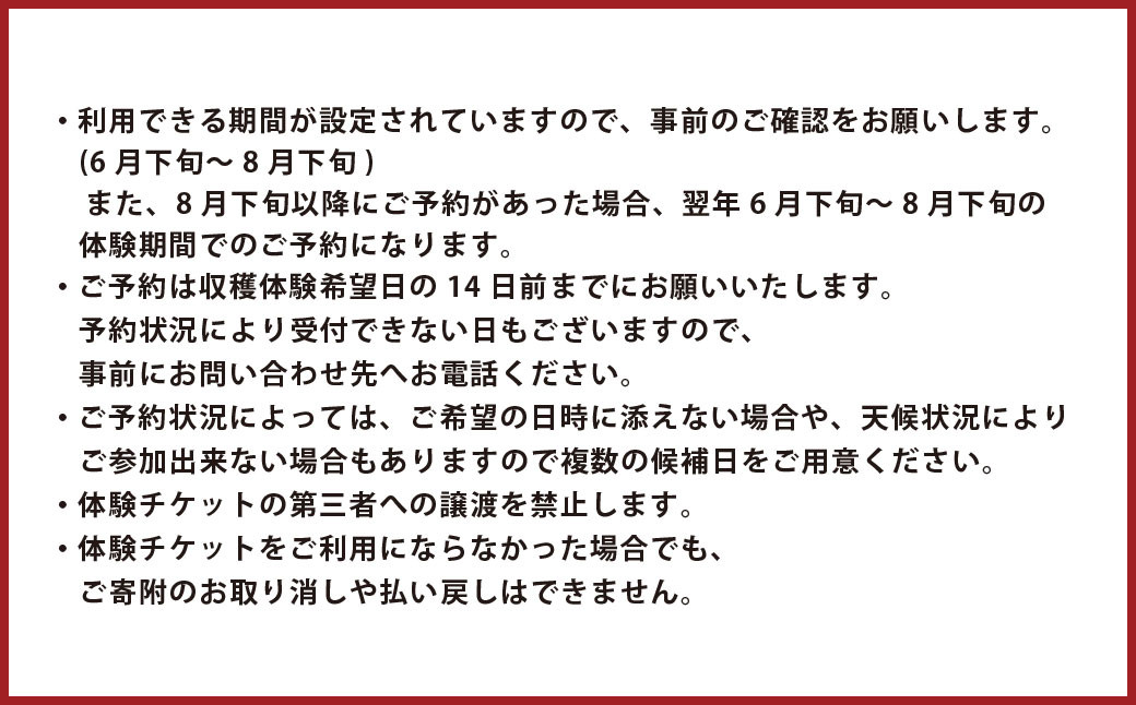 【1組5名まで】 ～自然豊かな久住高原で育ったブルーベリーの収穫体験～ 収穫ブルーベリーのお土産付き！ 