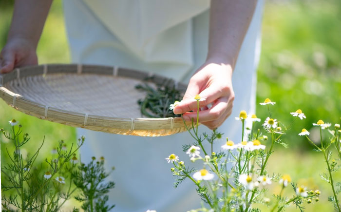 五感で感じるハーブティセット