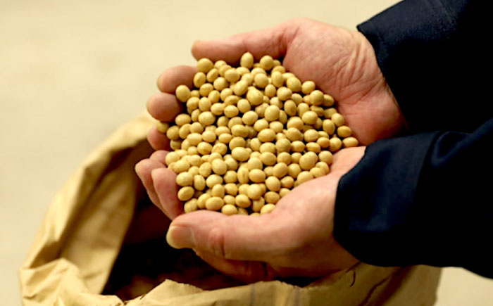 寺岡家の杉桶仕込蔵出し 詰合せ