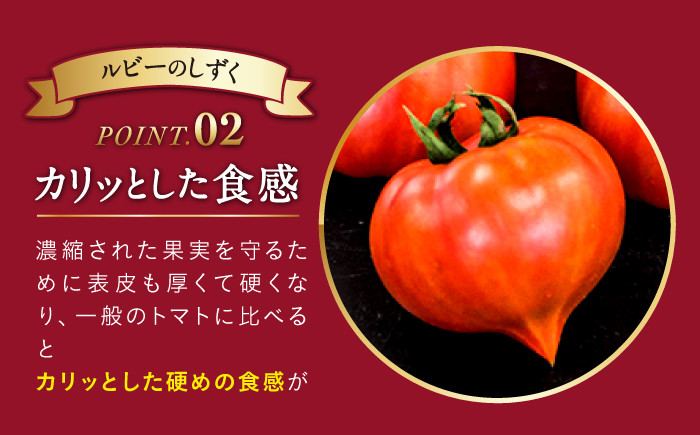 トマト とまと フルーツトマト 