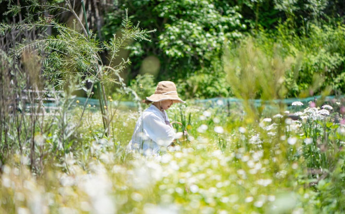 五感で感じるハーブティセット