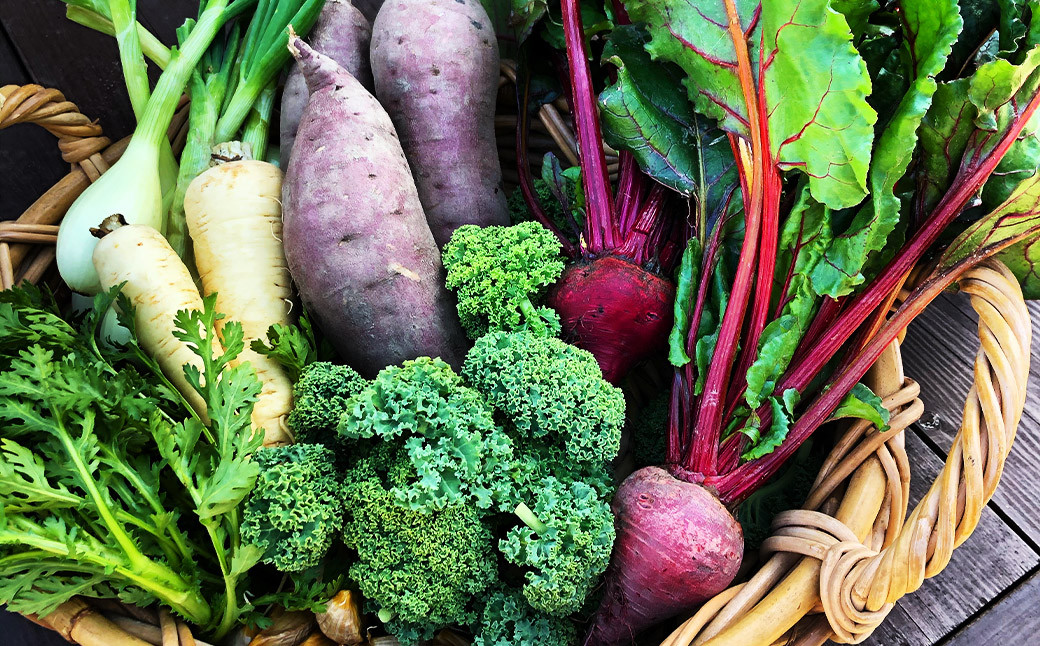 「元気になりたい人に届けたい」秋冬の野菜セット