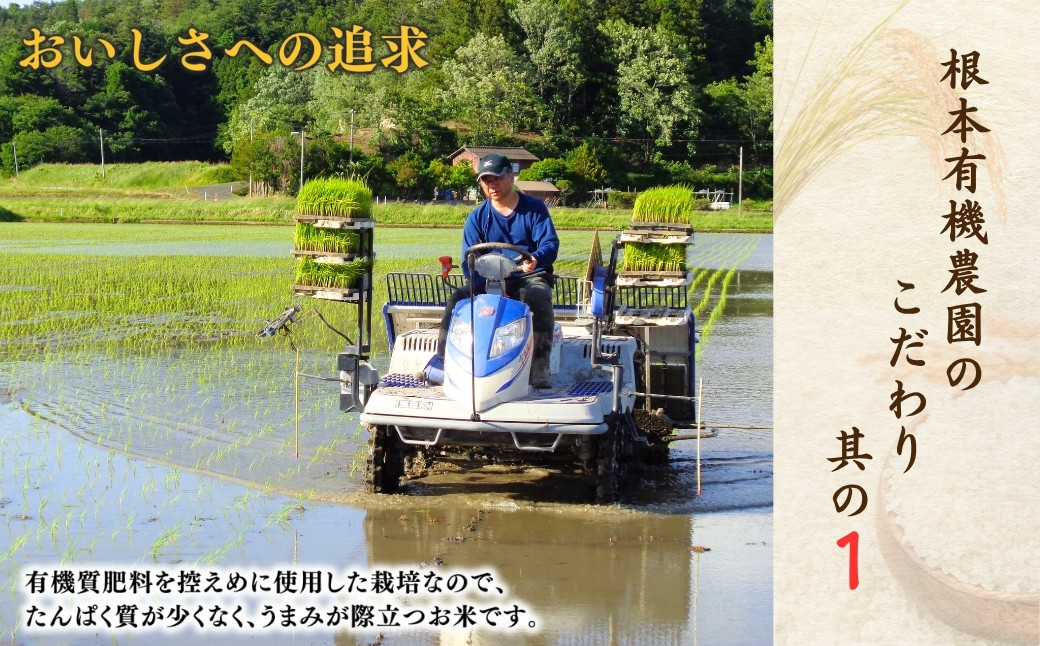 【令和7年産】南相馬・根本有機農園のJAS有機米コシヒカリ5kg（白米）