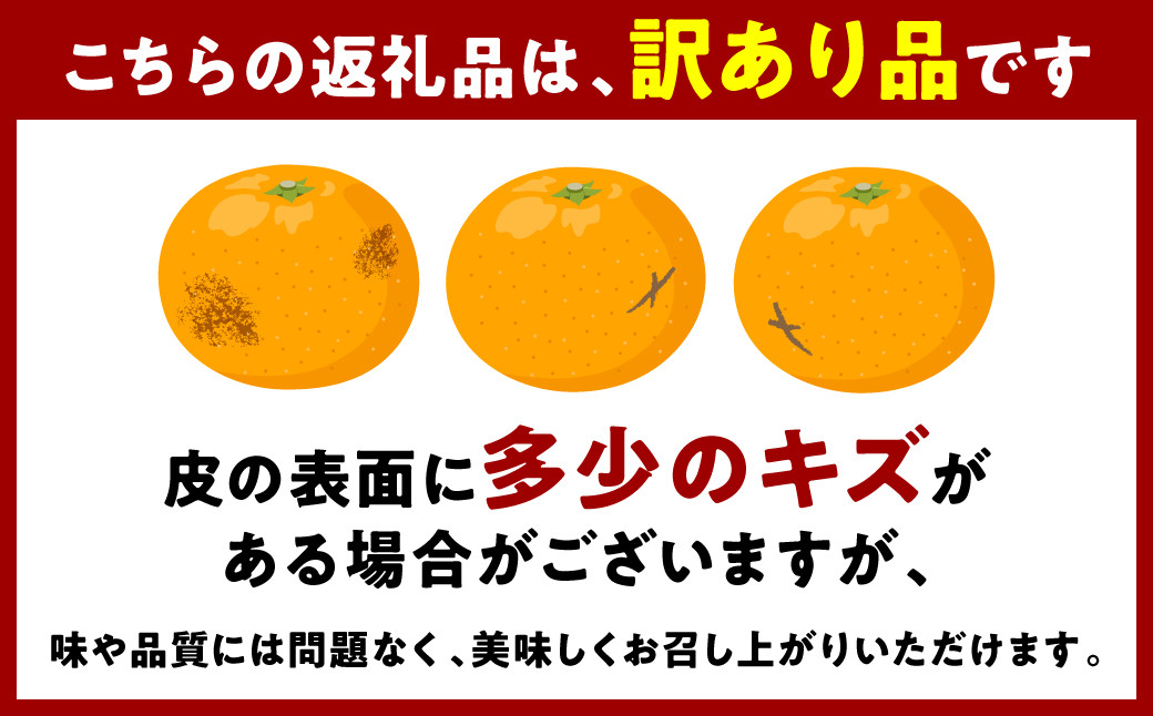 こちらの返礼品は、訳あり品です。