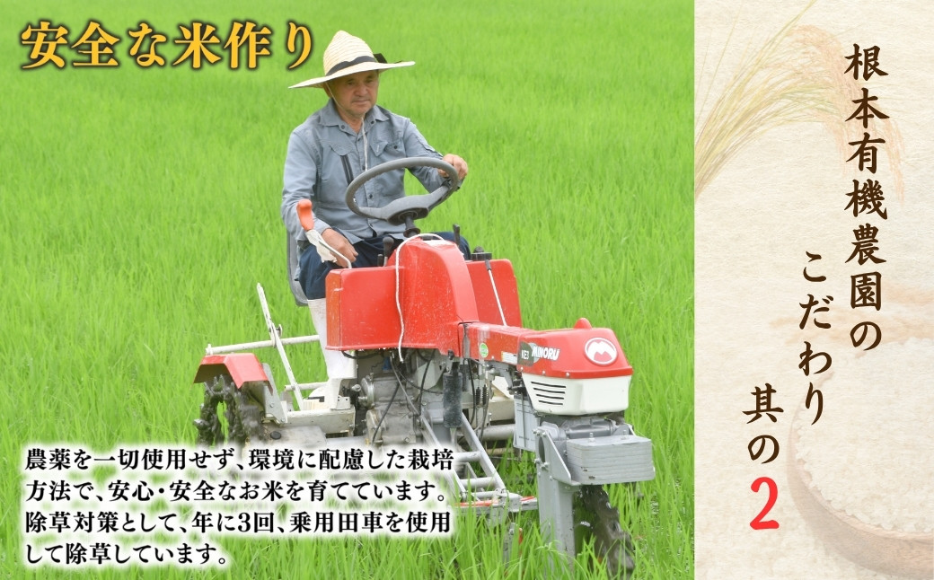 【毎月定期便】 JAS有機米 天のつぶ 玄米 15kg (5kg×3回) 根本有機農園 【53870-002-15】