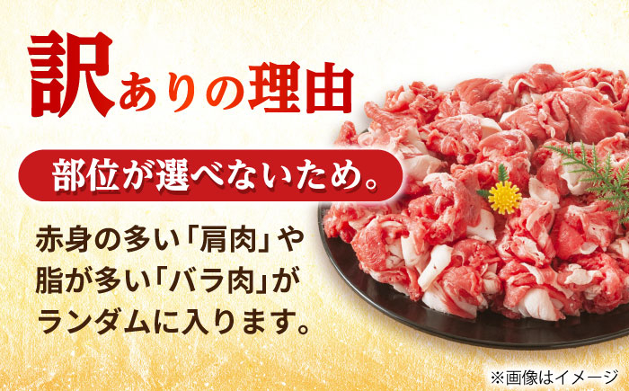 長崎和牛 和牛 国産 牛肉
