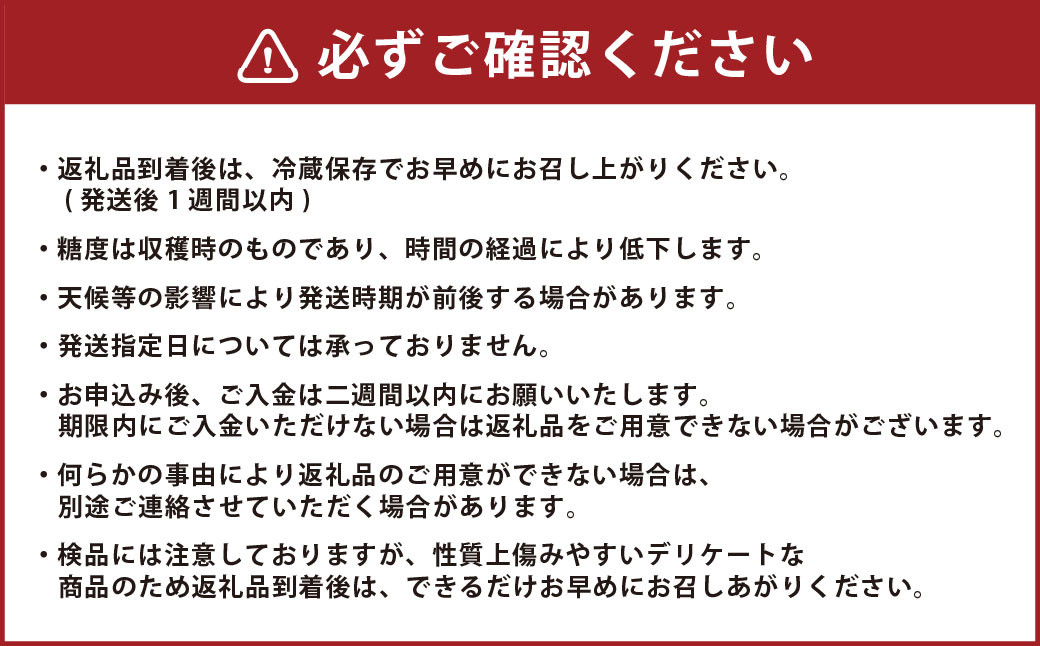 朝採りとうもろこし 恵味ゴールド 10本入り