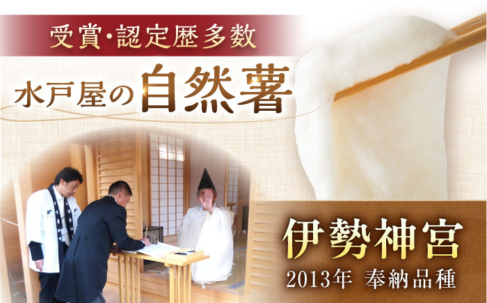 高級自然薯 桐箱 とろろ 山芋 じねんじょ 産地直送 お取り寄せ 自然薯 新鮮 贈答 ギフト おすすめ 人気 岐阜県 恵那市