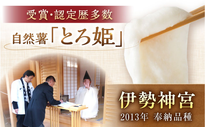 自然薯 冷凍 とろろ 山芋 やまいも お取り寄せ 健康 小分け パック 冷凍 贈答 ギフト おすすめ 人気 岐阜県 恵那市