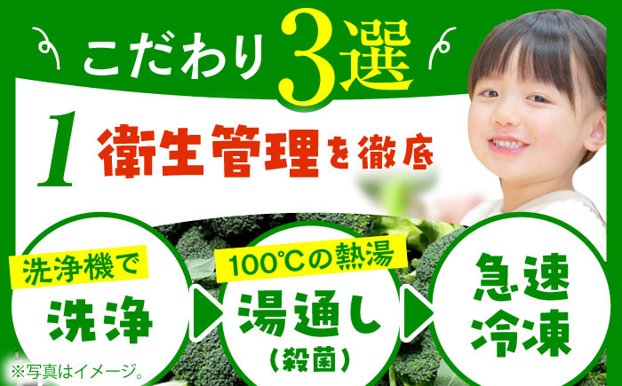 ブロッコリー ぶろっこりー 野菜 やさい 小分け 冷凍 国産