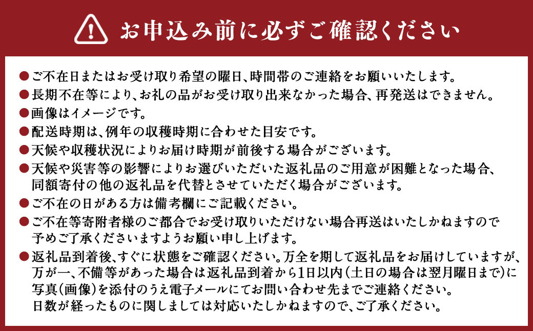 啓翁桜 約90cm×10本 桜 さくら サクラ 花 【2026年1月上旬～2月下旬発送予定】 
