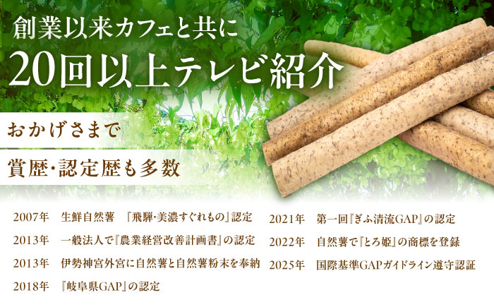 自然薯 冷凍 とろろ 山芋 やまいも お取り寄せ 健康 小分け パック 冷凍 贈答 ギフト おすすめ 人気 岐阜県 恵那市