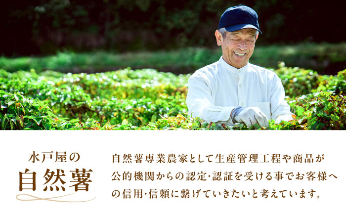 自然薯 とろろ 山芋 じねんじょ 産地直送 お取り寄せ 定番 健康 新鮮  贈答 ギフト おすすめ 人気 岐阜県 恵那市