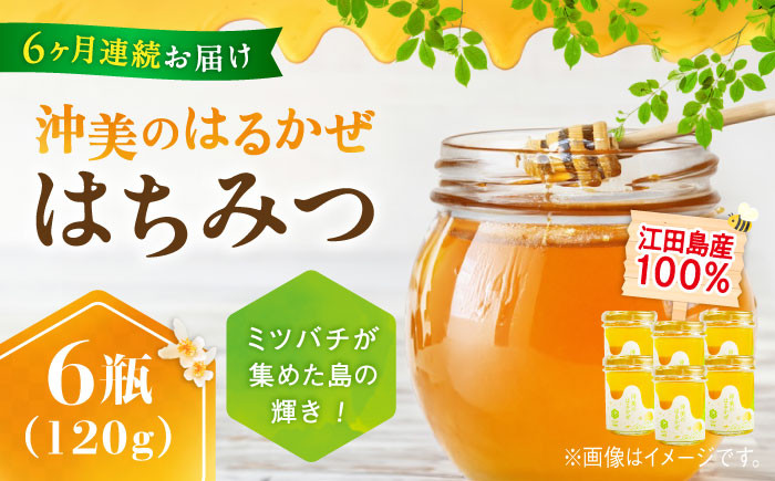 【全6回定期便】江田島産100％ はちみつ 沖美のはるかぜ120g×6本セット ハチミツ 蜂蜜 国産 広島 江田島