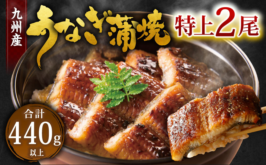 九州産 うなぎ 蒲焼 特上 2尾 計440g以上 (1尾あたり220~235g)