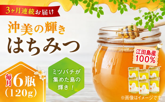 【全3回定期便】江田島産100％ はちみつ 沖美の輝き120g×6本セット ハチミツ 蜂蜜 国産 広島 江田島