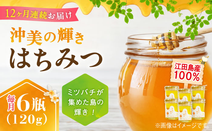 【全12回定期便】江田島産100％ はちみつ 沖美の輝き120g×6本セット ハチミツ 蜂蜜 国産 広島 江田島