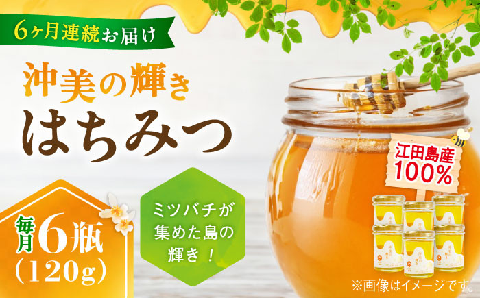 【全6回定期便】江田島産100％ はちみつ 沖美の輝き120g×6本セット ハチミツ 蜂蜜 国産 広島 江田島