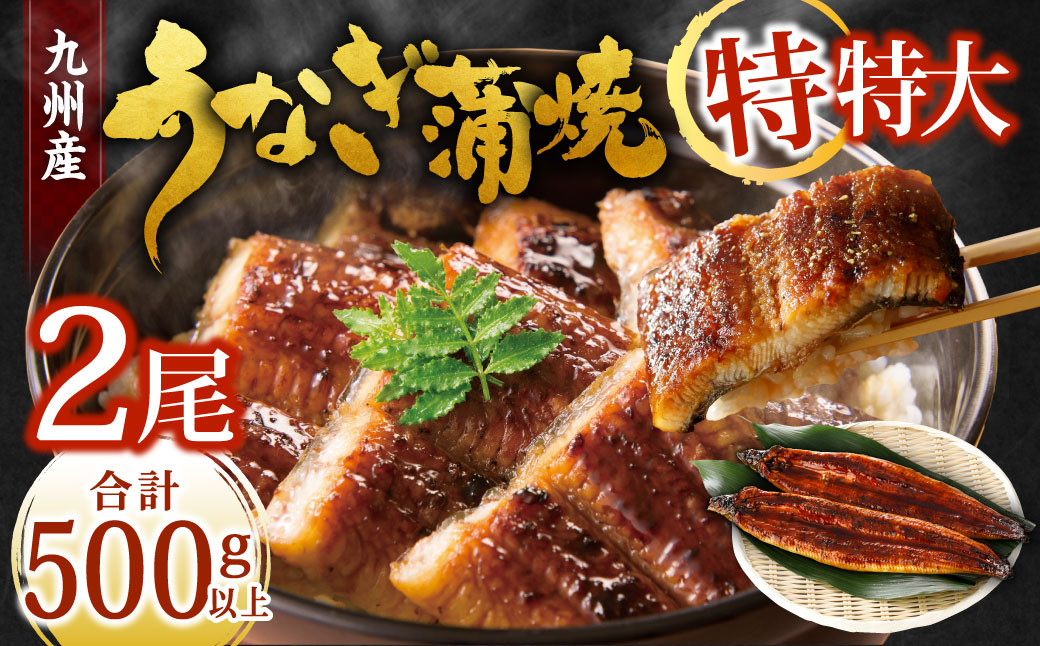 九州産 うなぎ蒲焼 特特大2尾 (1尾あたり250~266g)